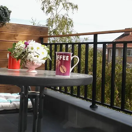 Daire Rooftop Near Town Centre